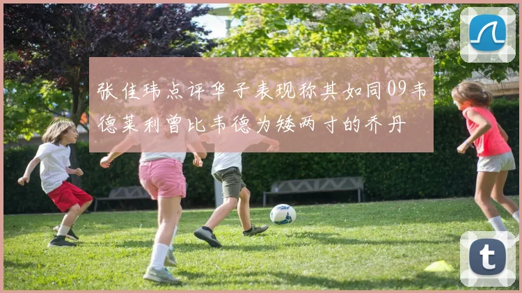 张佳玮点评华子表现称其如同09韦德莱利曾比韦德为矮两寸的乔丹