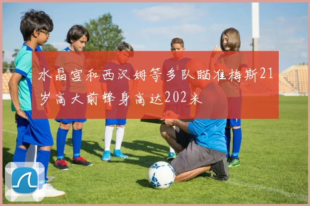 水晶宫和西汉姆等多队瞄准梅斯21岁高大前锋身高达202米